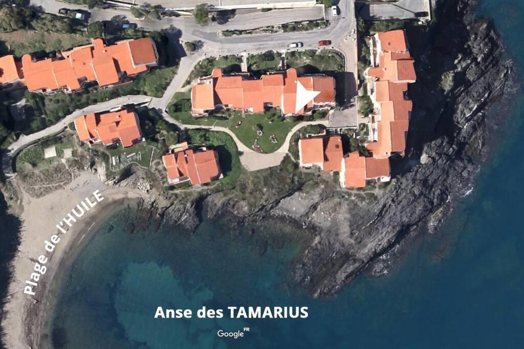 Collioure Appart En Bord De Mer Plage A 50M Clim Garage Location Du Samedi Au Samedi Exterior photo