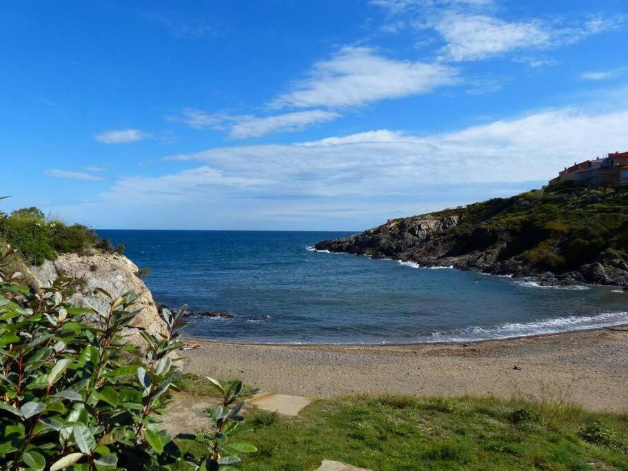 Collioure Appart En Bord De Mer Plage A 50M Clim Garage Location Du Samedi Au Samedi Exterior photo